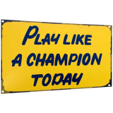 Carastora Vintage Metal Tin Sign Funny Sarcastic Party Wall Art Decor Signs Play Like A Champion Today Tin Metal Tin Sign Tin Plate Sign Wall Art Decor Tin Sign For Bar Restaurant Cafe Man Cave Pub