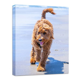 Anjiefo Custom Canvas Prints with Your Photo, Personalized Canvas Wall Art, Print Your Pictures Photos on Canvas, Gifts for Family, Wedding, Friends,Home Decoration (6″ W x 8W)