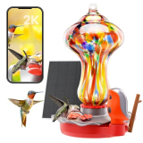 BBPECO Glass Smart Hummingbird Feeder with 2K HD Camera Solar Powered – AI Identify & Water Detection, Instant Notification, Leakproof & Ant Moat, Work with Alexa & Google Assistant