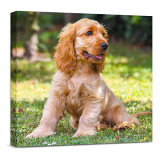 Anjiefo Custom Canvas Prints with Your Photo, Personalized Canvas Wall Art, Print Your Pictures Photos on Canvas, Gifts for Family, Wedding, Friends,Home Decoration (8″ W x 8W)