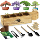 LUOJIBIE Bonsai Tree Kit, Complete Bonzai Tree Starter Kits with Tools, Unique Christmas Birthday DIY Gardening Gifts for Women Mom Men Grandkids, Crafts Hobby Kits, Grow Bonsai Tree Live Indoor